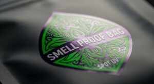 Whisk_10ffbd0ebf2108eba7c4ce75f67c8c5bdr