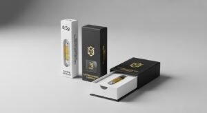 Whisk_4540f3ad6346a1780dc4eb407970e50fdr