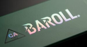 Whisk_60c4b2b5bfe698299e7452db94e9241edr