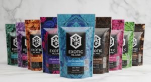 Whisk_66781a6dbb827f1991d49baa5b2bd18bdr