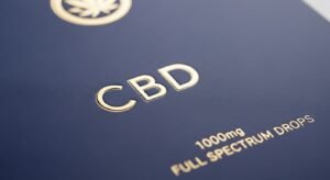 Whisk_d4bc47f56361d2e87a94464e39df3600dr