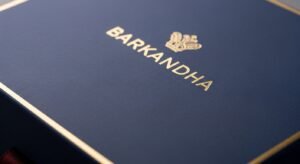 Whisk_f2507464be43b19a5c74771aa3ad4b67dr